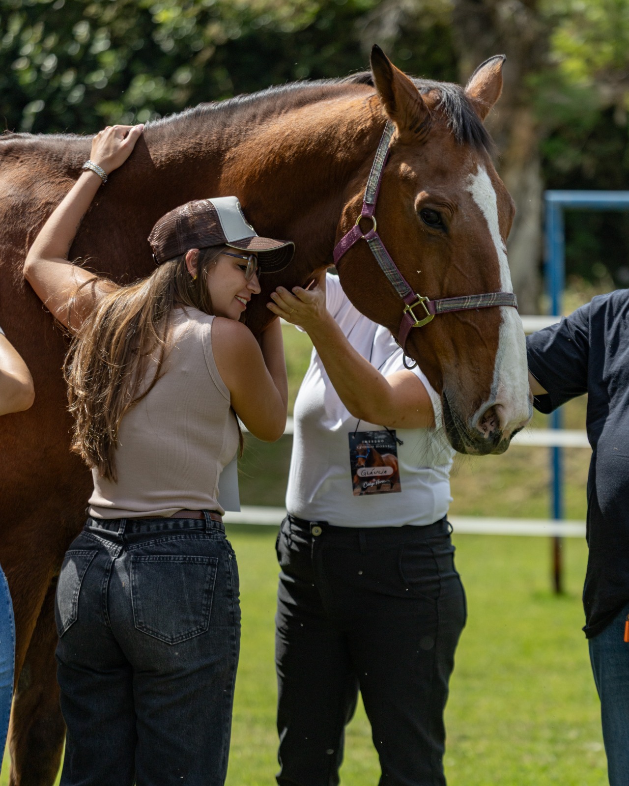 Abraço e conexão emocional com o cavalo