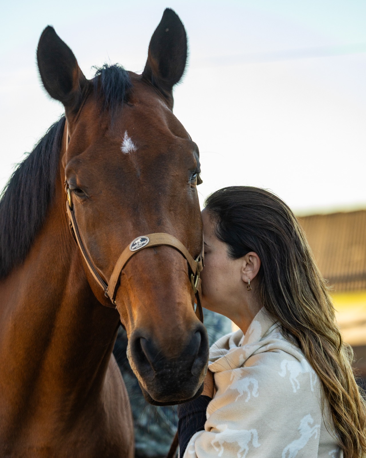 Interação próxima e afetuosa com o cavalo durante a vivência