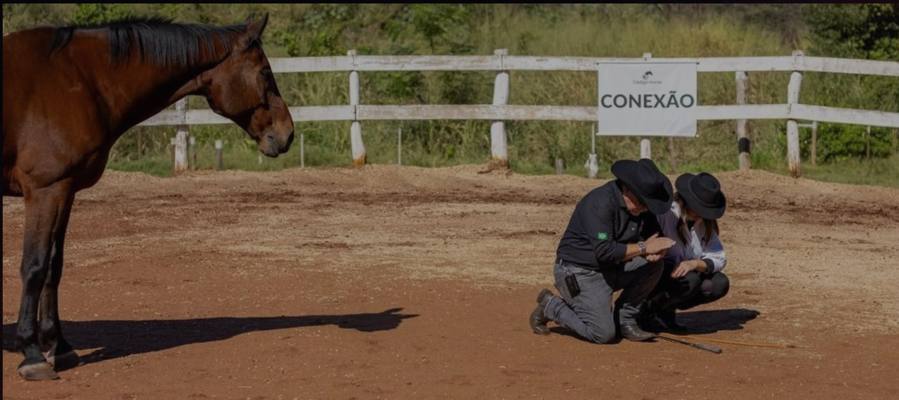 Líder e cavalo